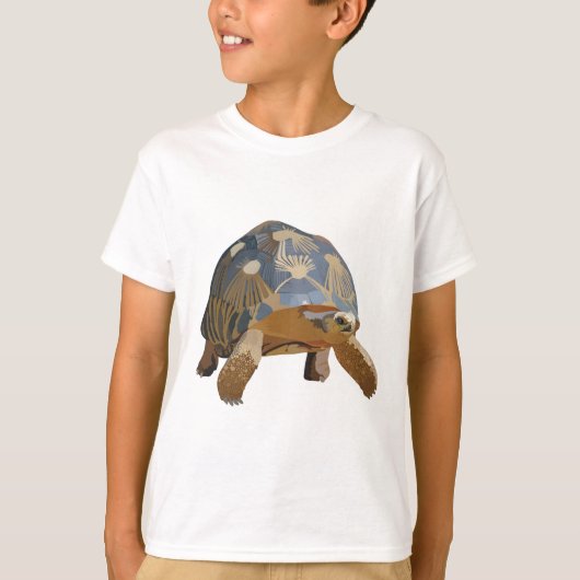 Rは放射亀 Tシャツ (正面)