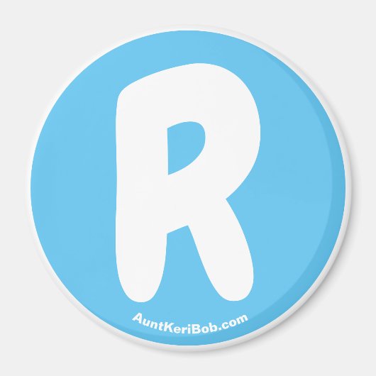 Rスカイブルー冷凍機磁石 マグネット (正面)