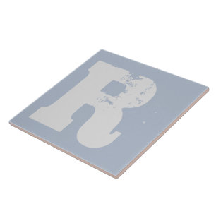 R型工動揺して業用浴室 タイル