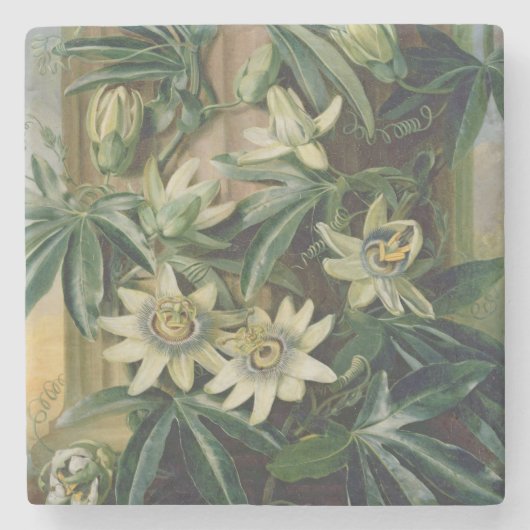 「R植物相の寺院」のための青い情熱の花 ストーンコースター (正面)