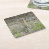 R1リチャードソンの地面リス(ゴッパー) スクエアペーパーコースター (アングル)