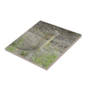 R1リチャードソンの地面リス「ゴッパー」 タイル (側面)