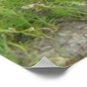 R1リチャードソンズグランドリス ポスター (角)