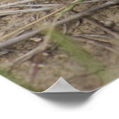 R10プレーリードト ポスター (角)