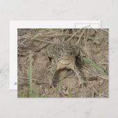 R10プレーリードト ポストカード (正面/裏面)