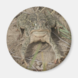 R10プレーリードト マグネット