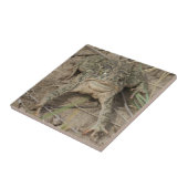 R10 プレーリートード タイル (側面)