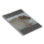 R11スノーシューヘアヘッドショット ノートブック (右側)