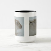 R11 ユキウサギの頭部写真 マグカップ (中央)