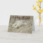 R13コヨーテイント カード (黄色い花)