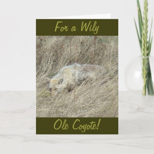 R13コヨーテ（トールグラス） カード (正面)