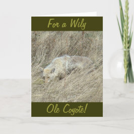 R13コヨーテ（トールグラス） カード