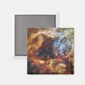 R136として知られる恒星の子供部屋 マグネット (正面/裏面)