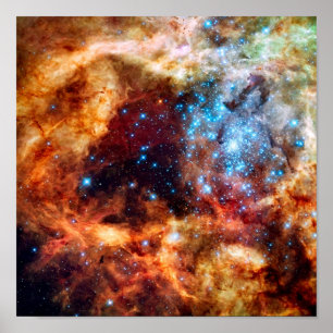 R136 スターベビーサロン タランチュラ星雲 NASA 画像 ポスター
