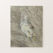 R13 タル草の中の コヨーテ ジグソーパズル (縦)