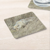 R13 Coyote in Tall Grass スクエアペーパーコースター (アングル)