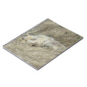 R13 Coyote in Tall Grass ノートブック (左側)