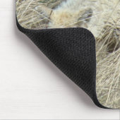 R13 Coyote in Tall Grass マウスパッド (コーナー)