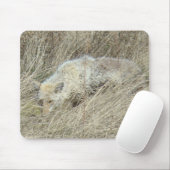 R13 Coyote in Tall Grass マウスパッド (マウス)