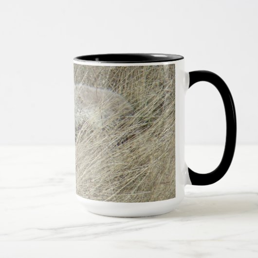 R13 Coyote in Tall Grass マグカップ (右)