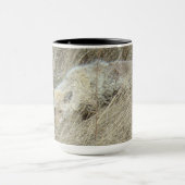 R13 Coyote in Tall Grass マグカップ (中央)