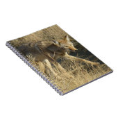 R14コヨーテ歩く ノートブック (右側)