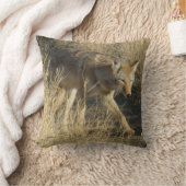 R14 コヨーテの歩行 クッション (ブランケット)