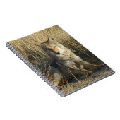 R15コヨーテレイイング ノートブック (右側)