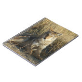 R15コヨーテレイイング ノートブック (左側)