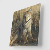 R15 コヨーテが横になる スクエア壁時計 (傾斜)