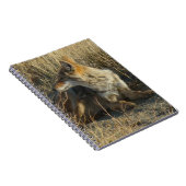 R16コヨーテスクラッチ ノートブック (右側)