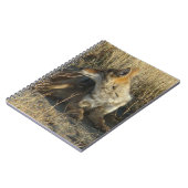 R16コヨーテスクラッチ ノートブック (左側)