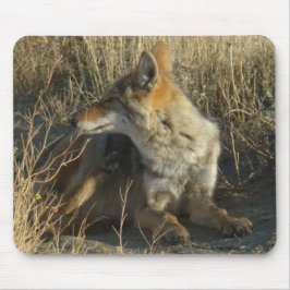 R16コヨーテ敷設 マウスパッド