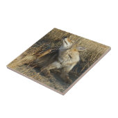 R17コヨーテスクラッチ タイル (側面)