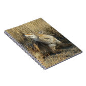 R17コヨーテスクラッチ ノートブック (右側)