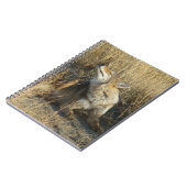 R17コヨーテスクラッチ ノートブック (左側)