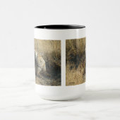 R17コヨーテスクラッチ マグカップ (中央)