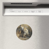 R17コヨーテスクラッチ マグネット (インサイチュ (食洗機))