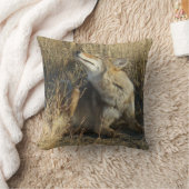 R17 コヨーテが引っかく クッション (ブランケット)