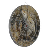 R17 コヨーテが引っかく ダーツボード (正面左)