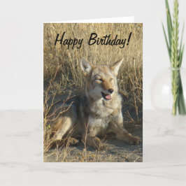 R18コヨーテの置くこと カード