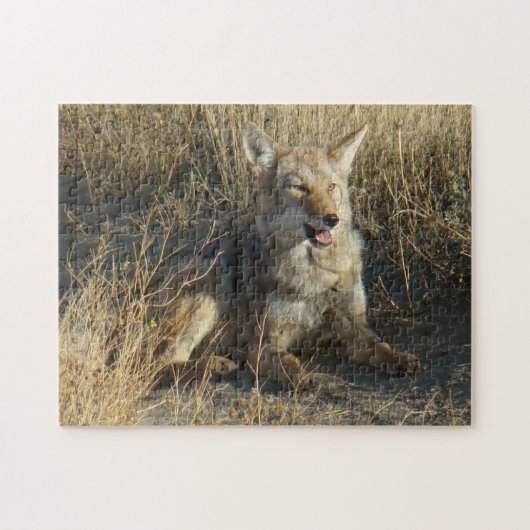 R18コヨーテの置くこと ジグソーパズル (横)