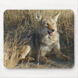 R18コヨーテの置くこと マウスパッド