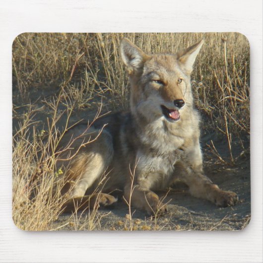 R18コヨーテの置くこと マウスパッド (正面)