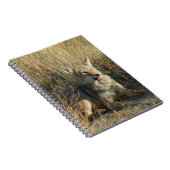 R18コヨーテ敷設 ノートブック (右側)