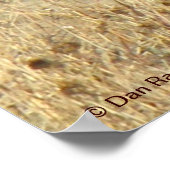 R18コヨーテ敷設 ポスター (角)