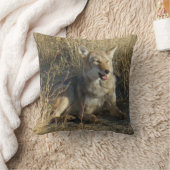 R18 コヨーテの横たわり クッション (ブランケット)