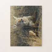 R18 コヨーテの横たわり ジグソーパズル (縦)