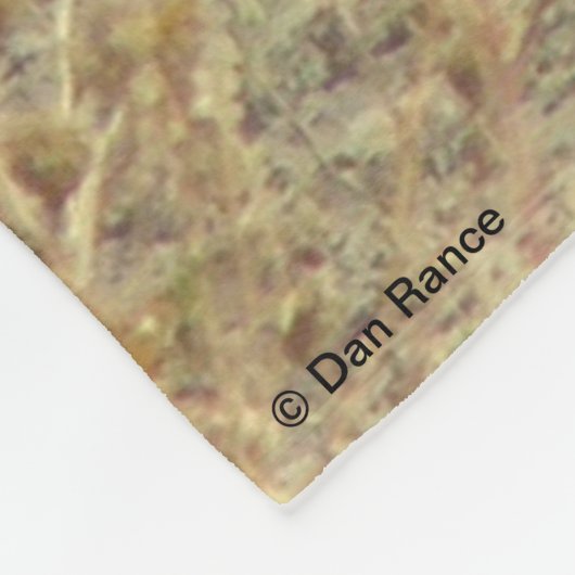 R19コヨーテの置くこと フリースブランケット (角)