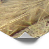 R19コヨーテ敷設 ポスター (角)